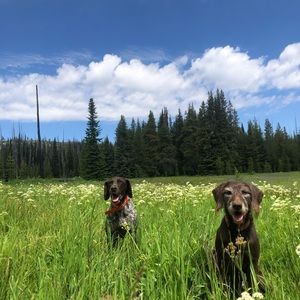 Meet your Posher, Ellie